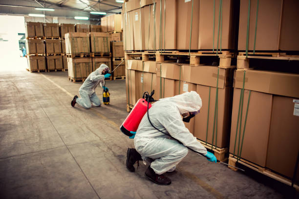 Best Cockroach Control Services  in Wakeeney, KS