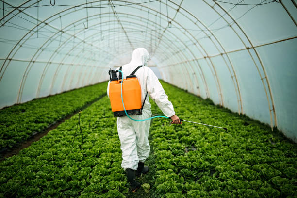 Best Pest Inspection Near Me  in Wakeeney, KS