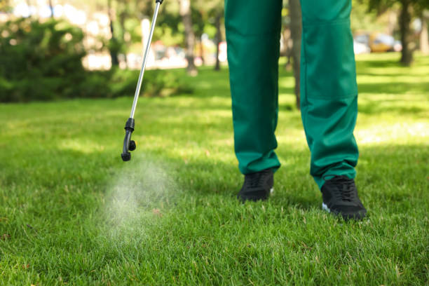 Insect Control in Wakeeney, KS