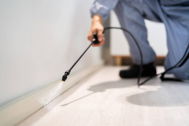 Best Flea Control Services  in Wakeeney, KS