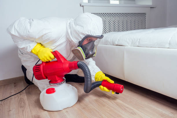 Best Bed Bug Extermination  in Wakeeney, KS