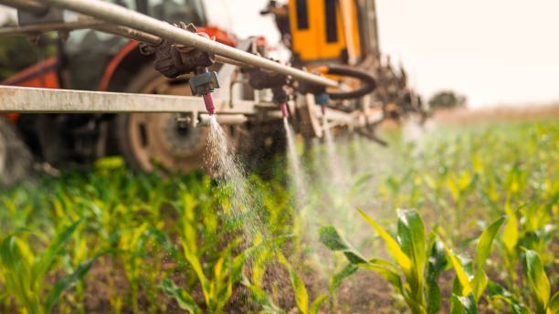 Best Commercial Pest Control Services  in Wakeeney, KS